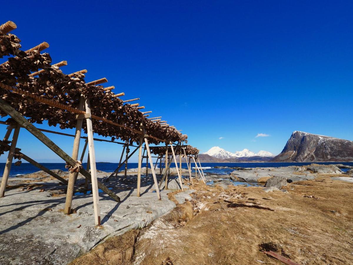 ValbergVestfjorden Panorama Lofoten别墅 外观 照片